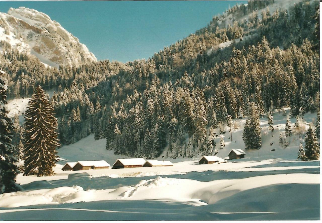 Ferienhaus Gubel Alt St. Johann 外观 照片
